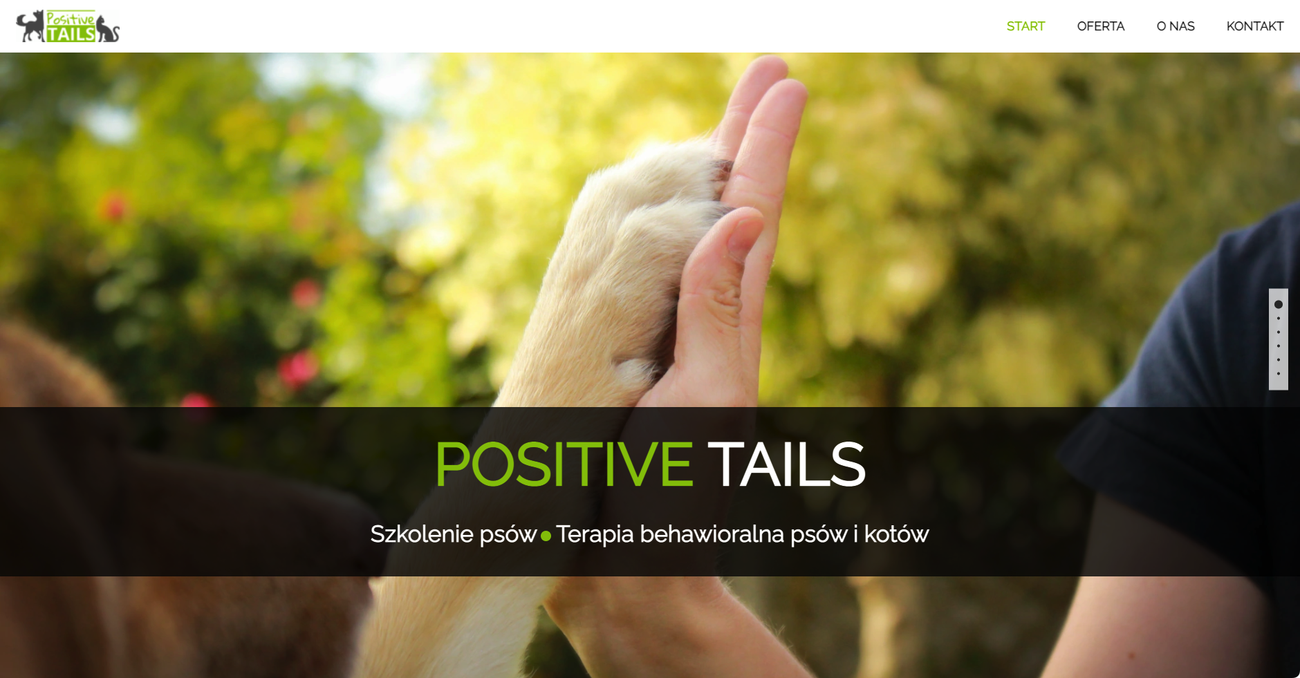 Trener psów Radomsko - Positive Tails